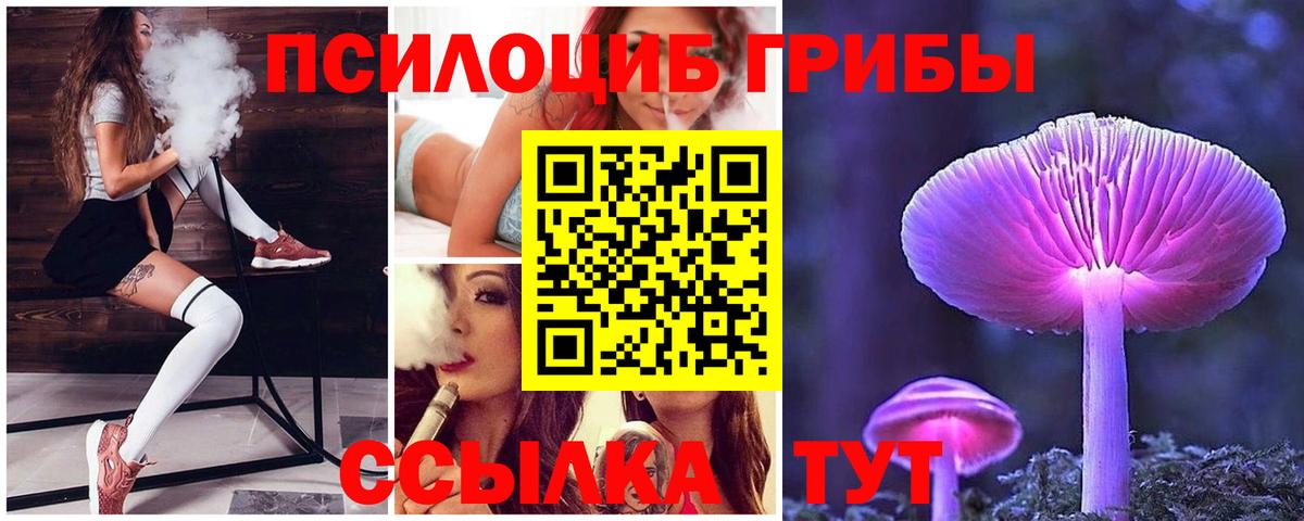 Галлюциногенные грибы Psilocybine cubensis  Вход с VPN  Нягань  продажа наркотиков  Галлюциногенные грибы мухоморы 